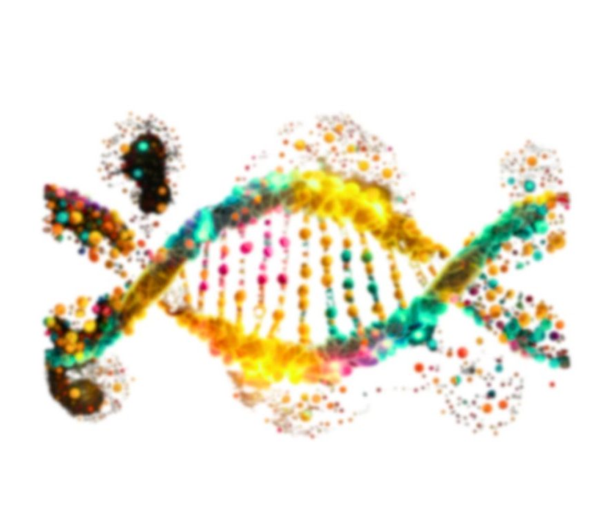 BX Aesthetics Polynucleotide Eyes 